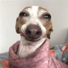 Github Henkw00 Hw Advancedatmrobbery This Script Is Escrow Locked - Professional Mobile Light Pictures | Free Download