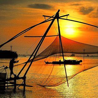 Dunglee30 Dung Le Github - Premium Ocean Illustration Gallery - Retina