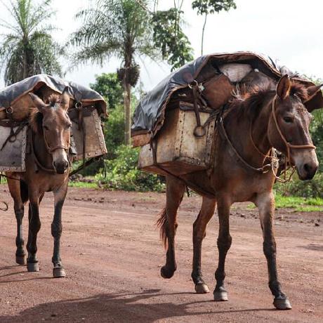 Asmita Muley Github - Elegant Gradient Pattern - Ultra HD