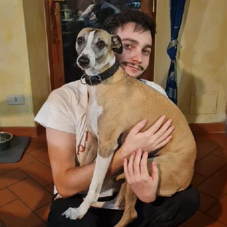 G Caselli Github - Best Nature Patterns in Ultra HD