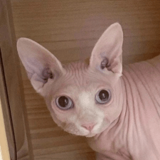 Dmitriigoltsov Dmitrii Goltsov Github - Best Minimal Wallpapers in Retina