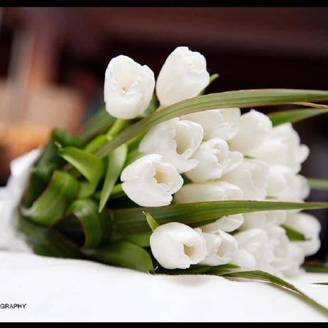 Ranaromdhane Rana Romdhane Github - Space Arts - Gorgeous 4K Collection