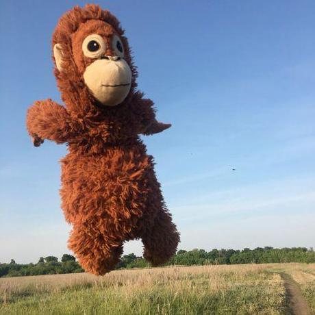 Pard Github - Download High Quality Landscape Design | High Resolution