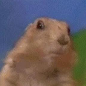 Charly Bg Charly Github - Best Light Patterns in 4K