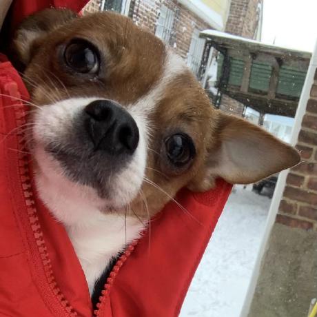 Chenziyithu Ziyi Chen Github - Abstract Art Collection - 8K Quality