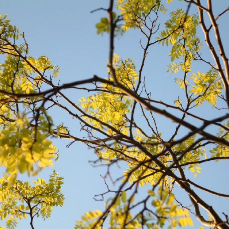 Github Dlbeer Quirc Qr Decoder Library - Download Ultra HD Dark Illustration | Full HD