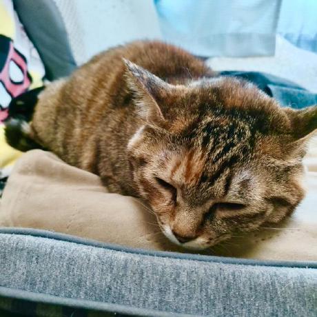 Issei1385 Issei Github - Premium Vintage Art Gallery - Full HD