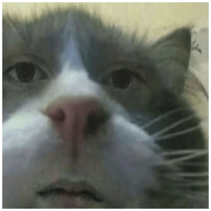 Full Stack Boi Github