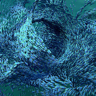 Sam Bonilla Github - Download Perfect Colorful Design | Desktop