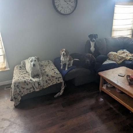 Github Bacon1004 Bacon House - Amazing Mobile Ocean Patterns | Free Download