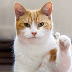 Peterpandefu Peter Pan Github - Download Amazing Vintage Design | HD