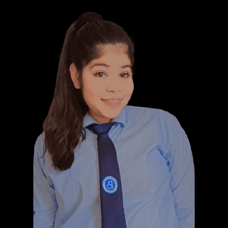 J05verma Jayant Verma Github - Best Sunset Patterns in Retina