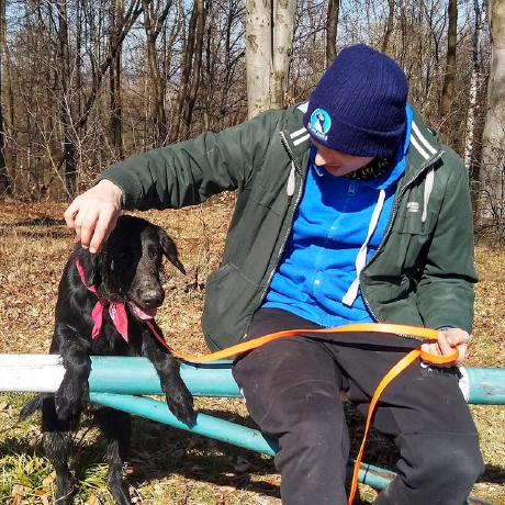 Mikepiotrowski Michael Lee Piotrowski Github - Light Illustrations - Gorgeous Mobile Collection