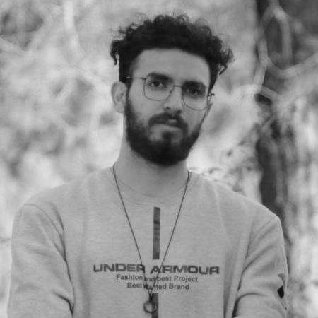 Amoamirmansouri Amir Github