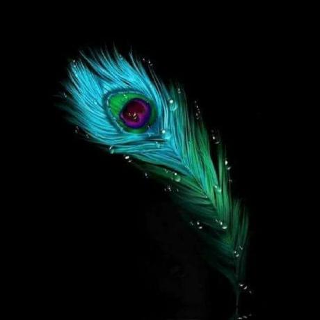 Akshay Patel Dev Akshay Patel Github - Geometric Arts - Artistic Desktop Collection