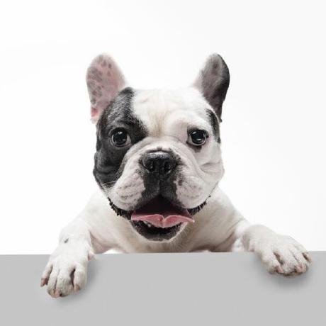 Github Binhpht Facedog - Sunset Illustrations - Stunning Retina Collection