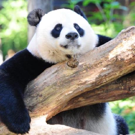 Github Hugonip Opencv Gui - Best Mountain Pictures in Retina