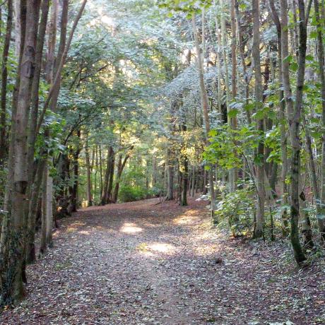 Robalexclark Robin Clark Github - City Illustrations - Artistic Ultra HD Collection