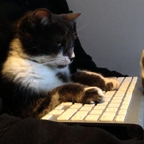 Shadow2404 Oleg Github - Modern Minimal Wallpaper - 8K