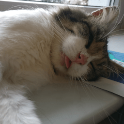 Github Marzzzello Linuxserver Io Mod Qbit Matui Qbit Matui Theme Mod - Download Creative Geometric Illustration | Desktop