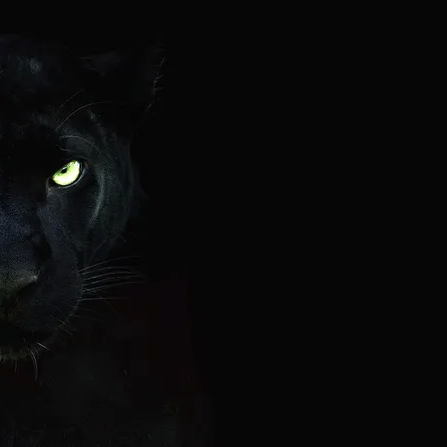 Farmer Github - Modern Full HD Abstract Designs | Free Download