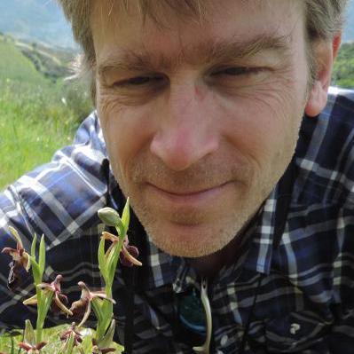 Daniel Lundin Daniel Lundin Github - HD Abstract Illustrations for Desktop