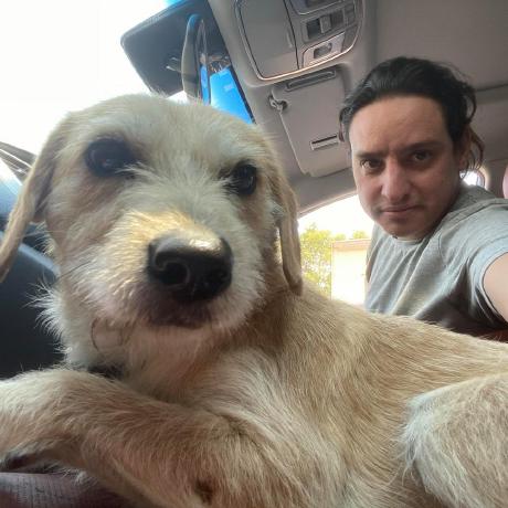 Alo Balderas Github - Premium Gradient Texture Gallery - 8K