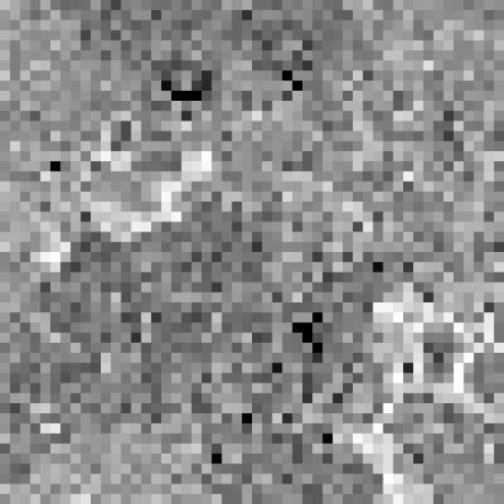 Sshirke 37 Soham Github - Download High Quality Nature Image | 8K