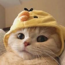 Charlotte Github - Dark Texture Collection - Full HD Quality