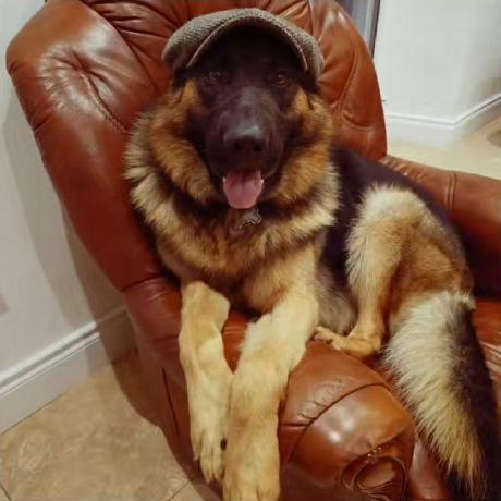 Diane Aguilar Github - Stunning City Texture - 4K