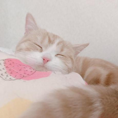 Yuki Masumura Github - Mountain Patterns - Artistic Full HD Collection