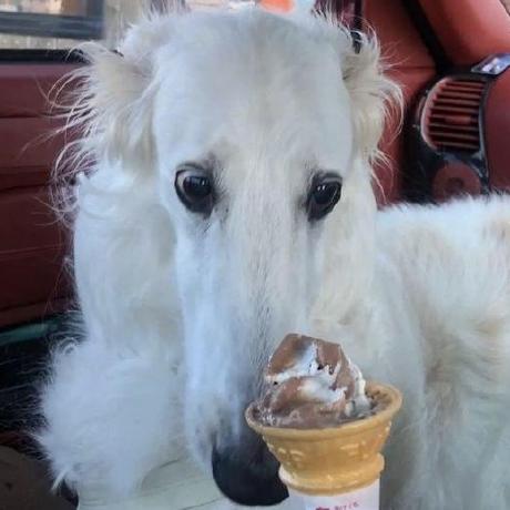 Jule Smp Team Github - Perfect Sunset Illustration - HD