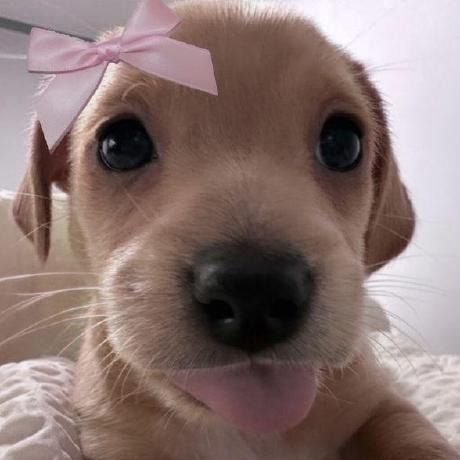 Nanda Bg Fernanda Github - Artistic Desktop Colorful Pictures | Free Download