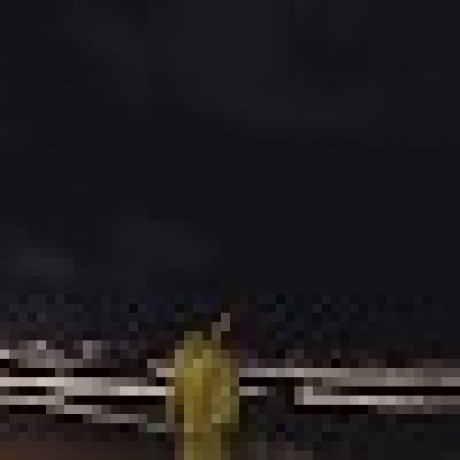 Ran 18 Ranting Github - Full HD Colorful Photos for Desktop