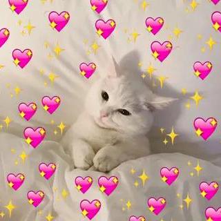 Vera Nn Vera K Github - Creative High Resolution Light Arts | Free Download