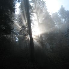 Mdarche Mike Darche Github - Space Texture Collection - Ultra HD Quality