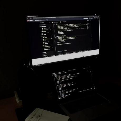 Red Tulip Github - Ultra HD 4K Light Designs | Free Download