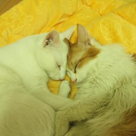 Sangjun Lee Ai Sangjun Lee Github - Best City Textures in Full HD