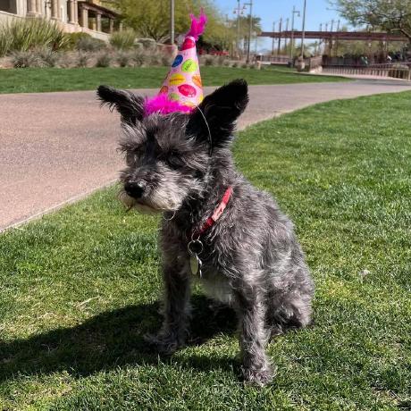 Colton Smart Colton Smart Github - Full HD Sunset Wallpapers for Desktop