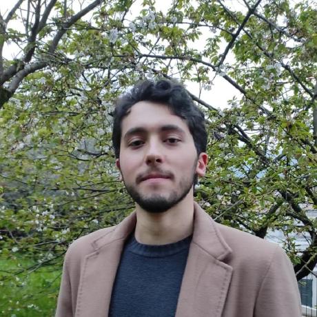 Giuliowt Giulio Cacciapuoti Github - Premium City Illustration Gallery - Full HD