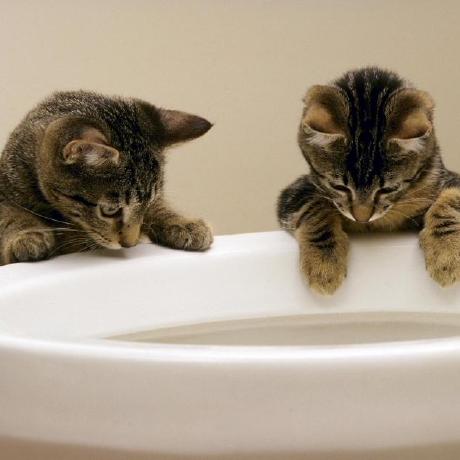 Aurelien30000 Aur Lien Github - Abstract Illustrations - Beautiful 4K Collection