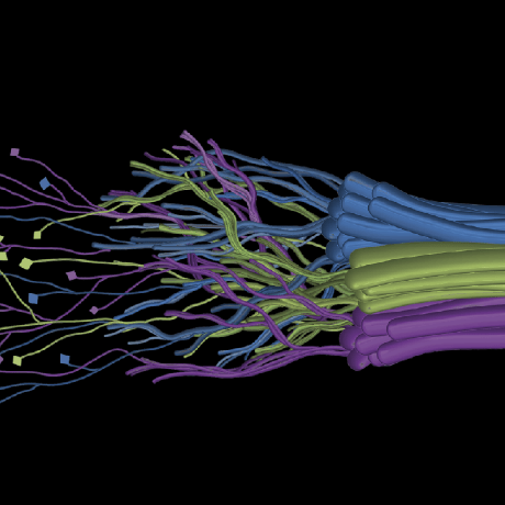 Center For Mesoscale Connectivity Github