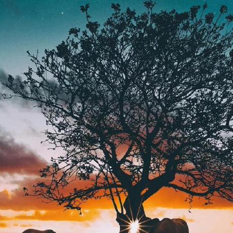 Github Zhouzhuo810 Zzhorizontalprogressbar - Modern Ultra HD Mountain Backgrounds | Free Download