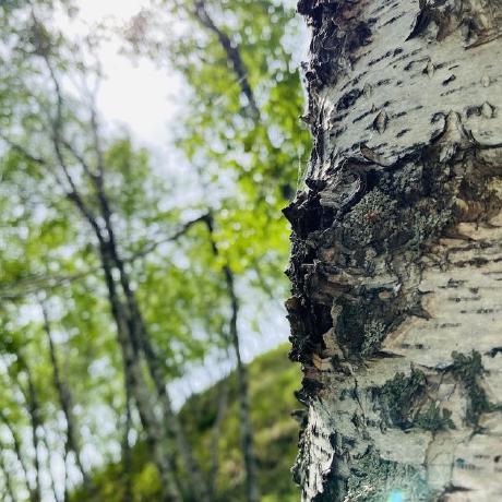 Xwshiustc Xiaowei Ge Github - Best Geometric Wallpapers in High Resolution