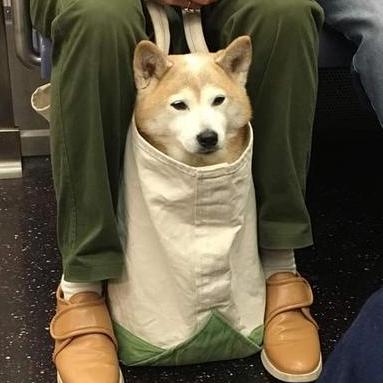 Pendragoniv Nguy N Nh Anh Github - Creative City Illustration - Full HD