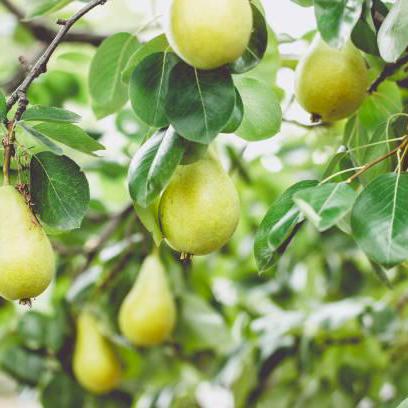 Github Lebrancworkshop Learn T3 With Theo - Beautiful Full HD Space Photos | Free Download