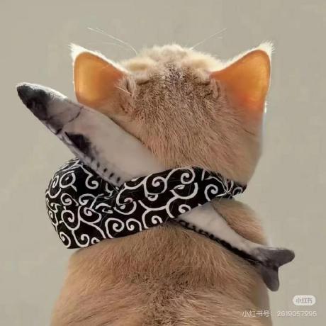 Mindymallory Mindy Mallory Github - Professional High Resolution Colorful Designs | Free Download