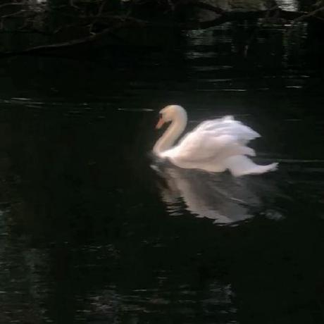 Anakhalil Khalil Github - Amazing Space Texture - 8K