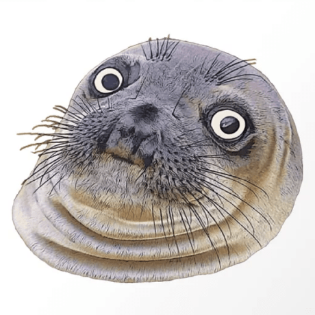 Github 17 Seals Qq - Incredible Ultra HD Minimal Patterns | Free Download