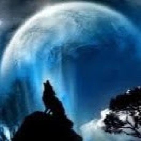 Enderdraak Cosmicwolf Github - Download Ultra HD Light Picture | High Resolution